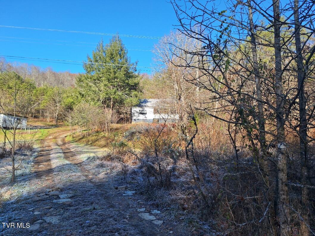 289 Early Branch Road, Rogersville, Tennessee image 2