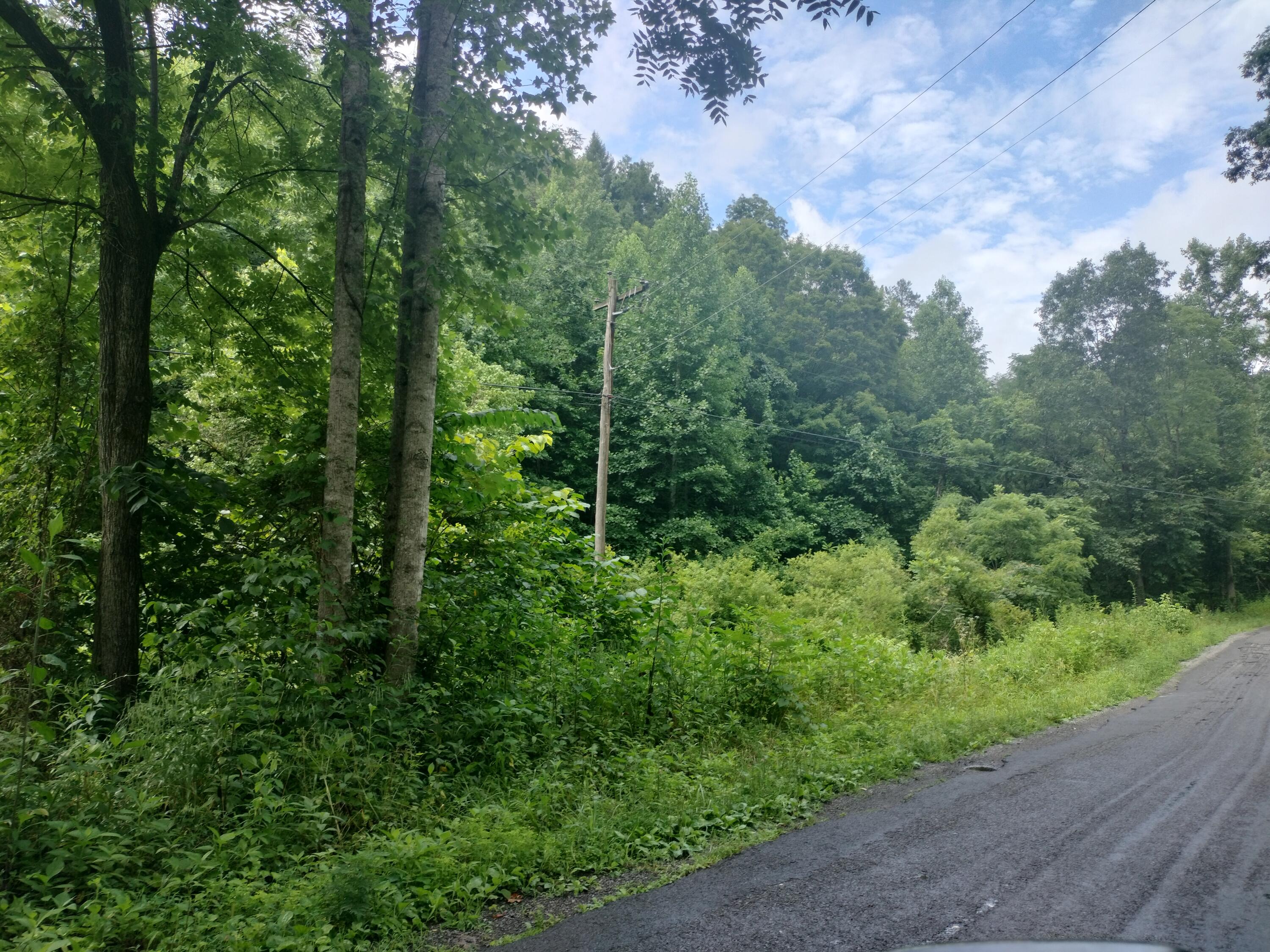 289 Early Branch Road, Rogersville, Tennessee image 25