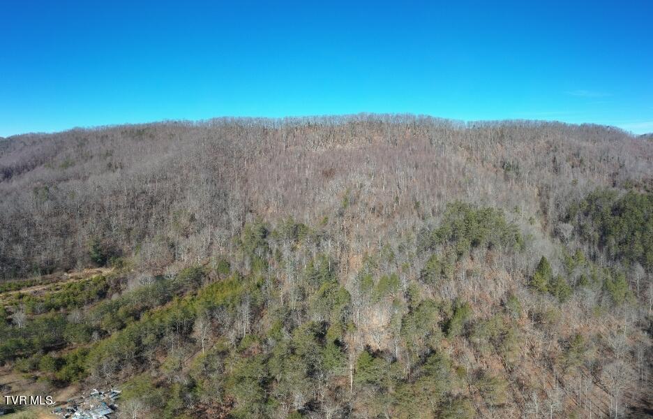 289 Early Branch Road, Rogersville, Tennessee image 32