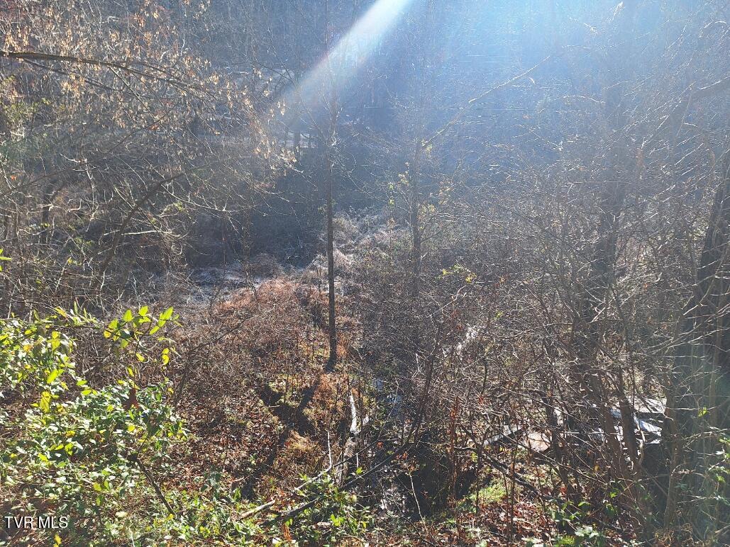 289 Early Branch Road, Rogersville, Tennessee image 7