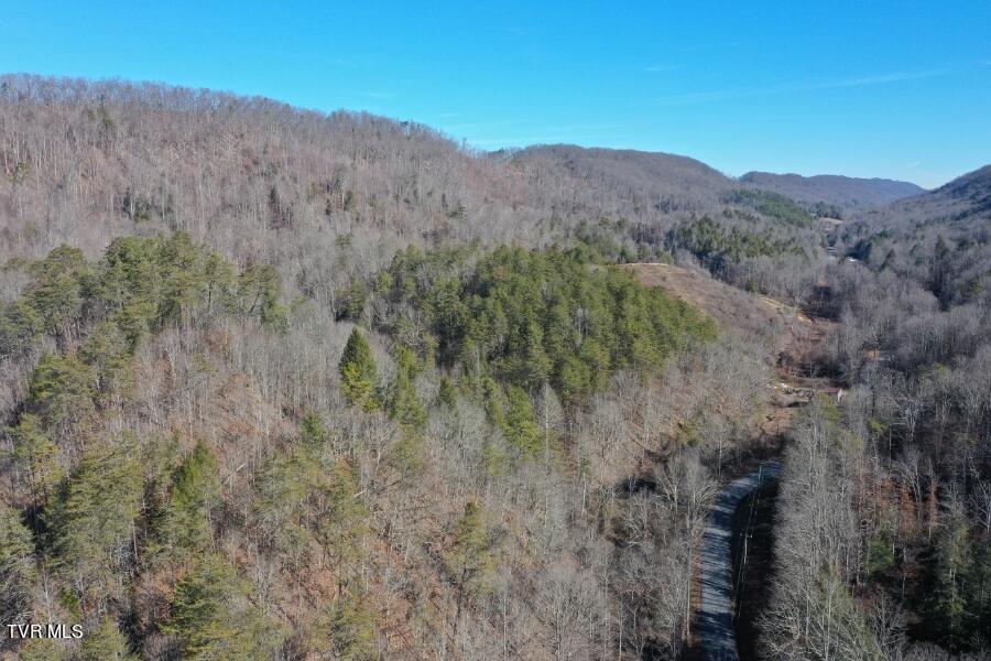289 Early Branch Road, Rogersville, Tennessee image 47