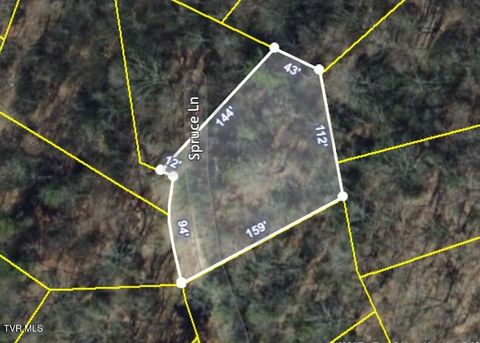 Vacant Land For Sale - 108 Spruce Lane<br/> Beech Mountain, NC 28604