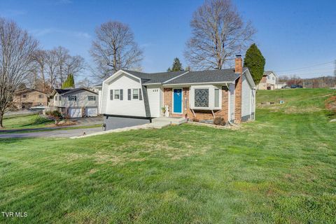 Photo of 436 Springfield Drive, Bristol, TN 37620 (MLS # 9992410)