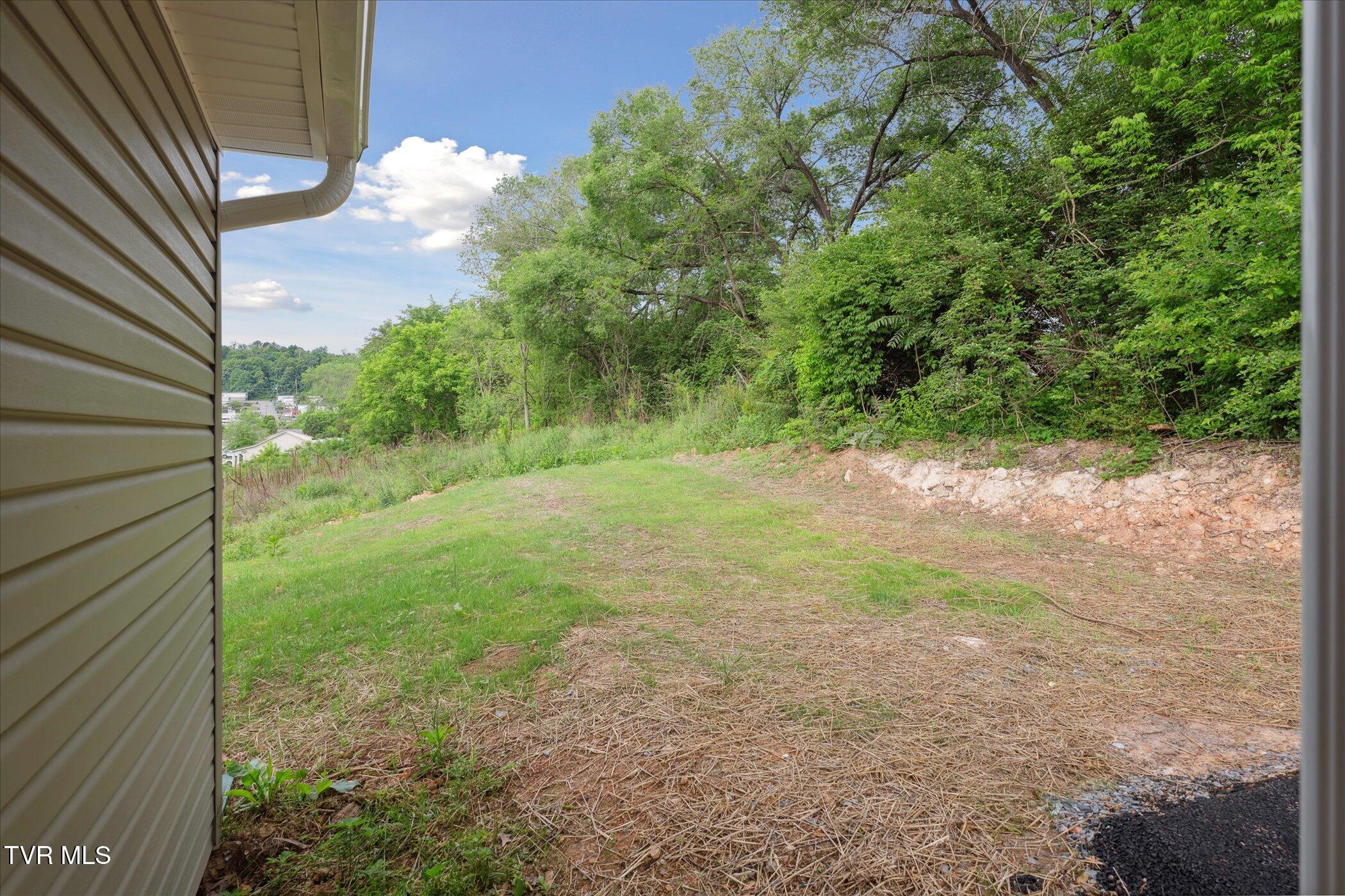 2120 Reese Street, Morristown, Tennessee image 38