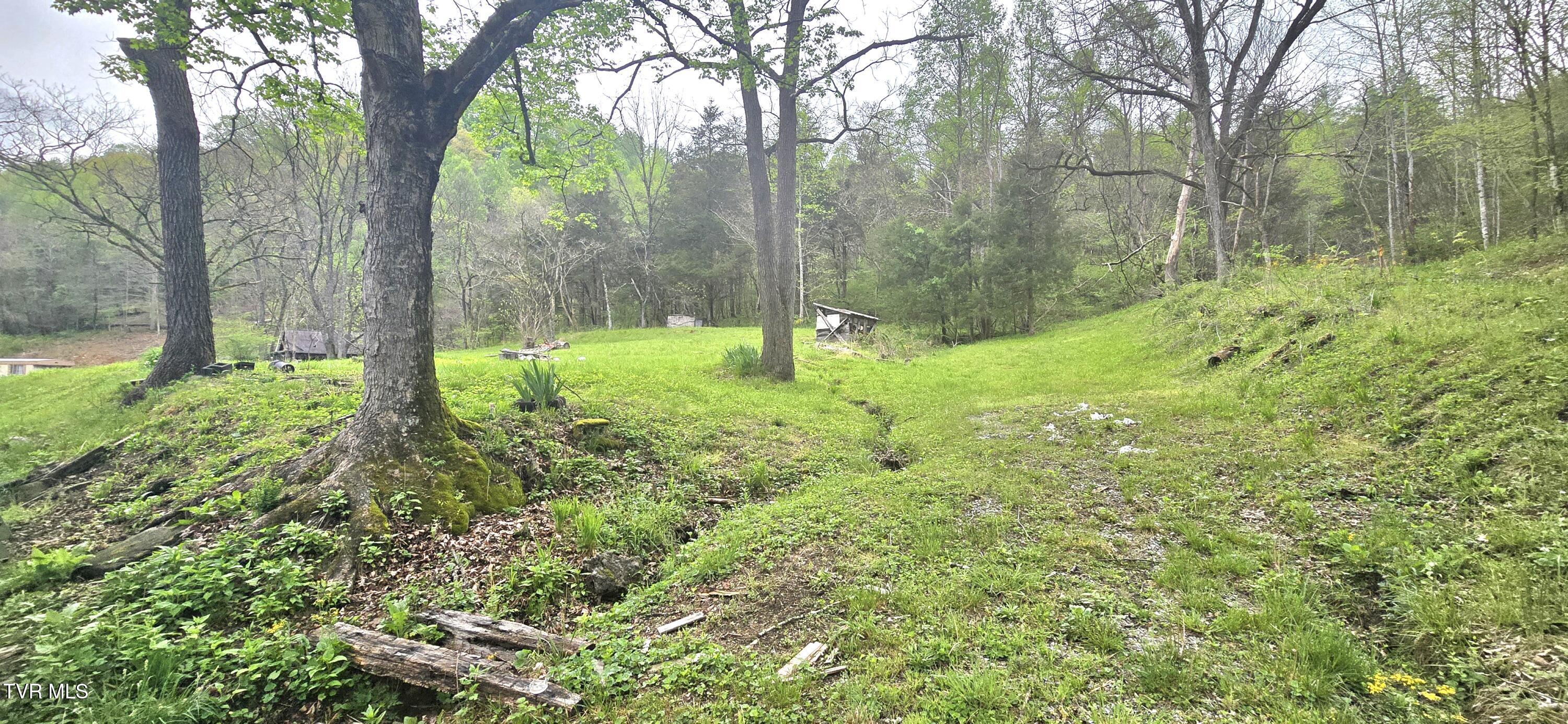 519 Willow Springs Road, Elizabethton, Tennessee image 18
