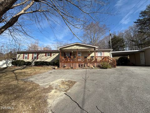 Photo of 126 Ollie Collins Road, Elizabethton, TN 37643 (MLS # 9990641)