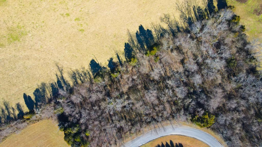 Photo of 24 Walnut Grove Drive, Church Hill, TN 37642 (MLS # 9933578)