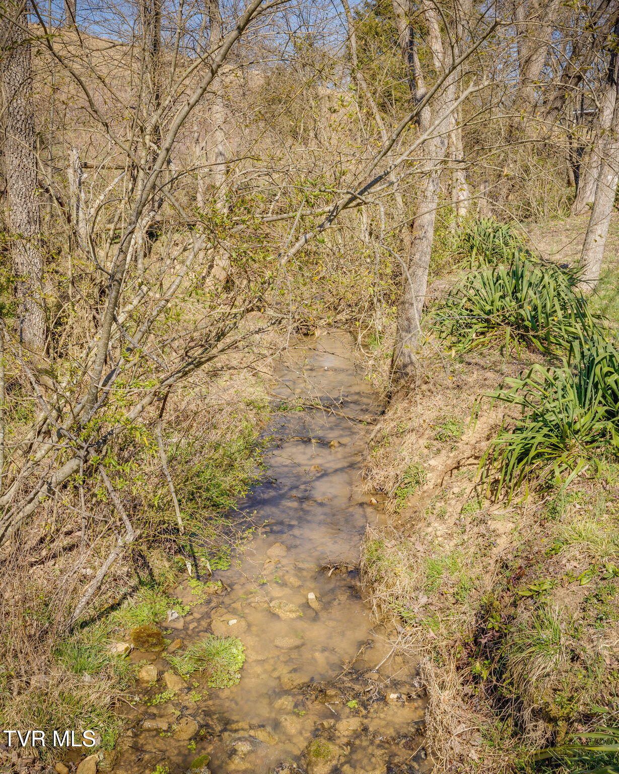 330 Robertson Road, Chuckey, Tennessee image 34