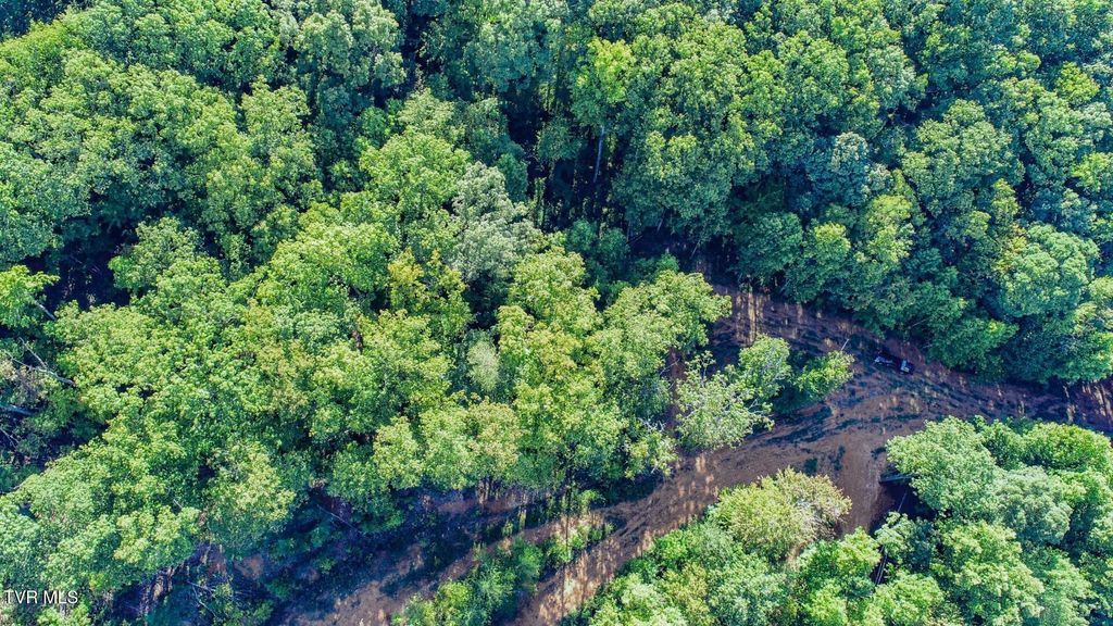Photo of 151 Delicious Way Way, Newport, TN 37821 (MLS # 9986815)