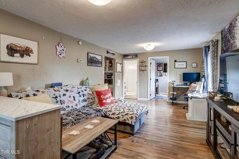 Tiny photo for 1692 Arkansas Avenue, Bristol, TN 37620 (MLS # 9986320)