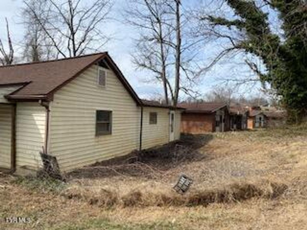 Photo of 410 8th Avenue, Johnson City, TN 37604 (MLS # 9991834)