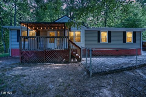 Photo of 117 Wb Yeats Drive, Johnson City, TN 37604 (MLS # 9994664)