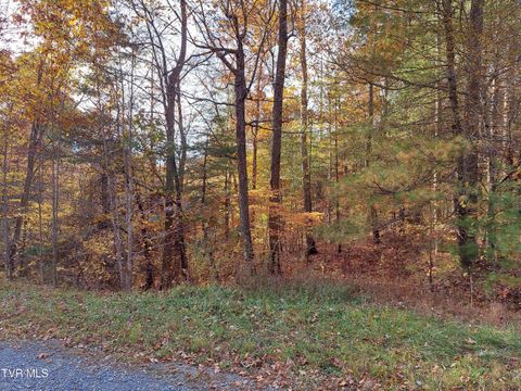Vacant Land For Sale - LOT 19 Sugar Maple Way<br/> Cocke County, Del Rio, TN 37727