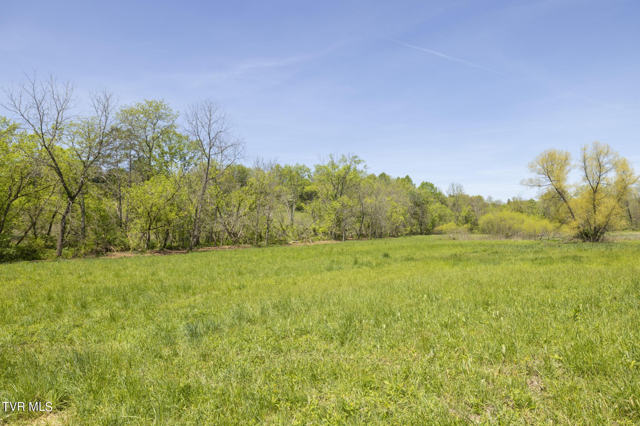 Lot 4 Mckee Street, Greeneville, Tennessee image 11