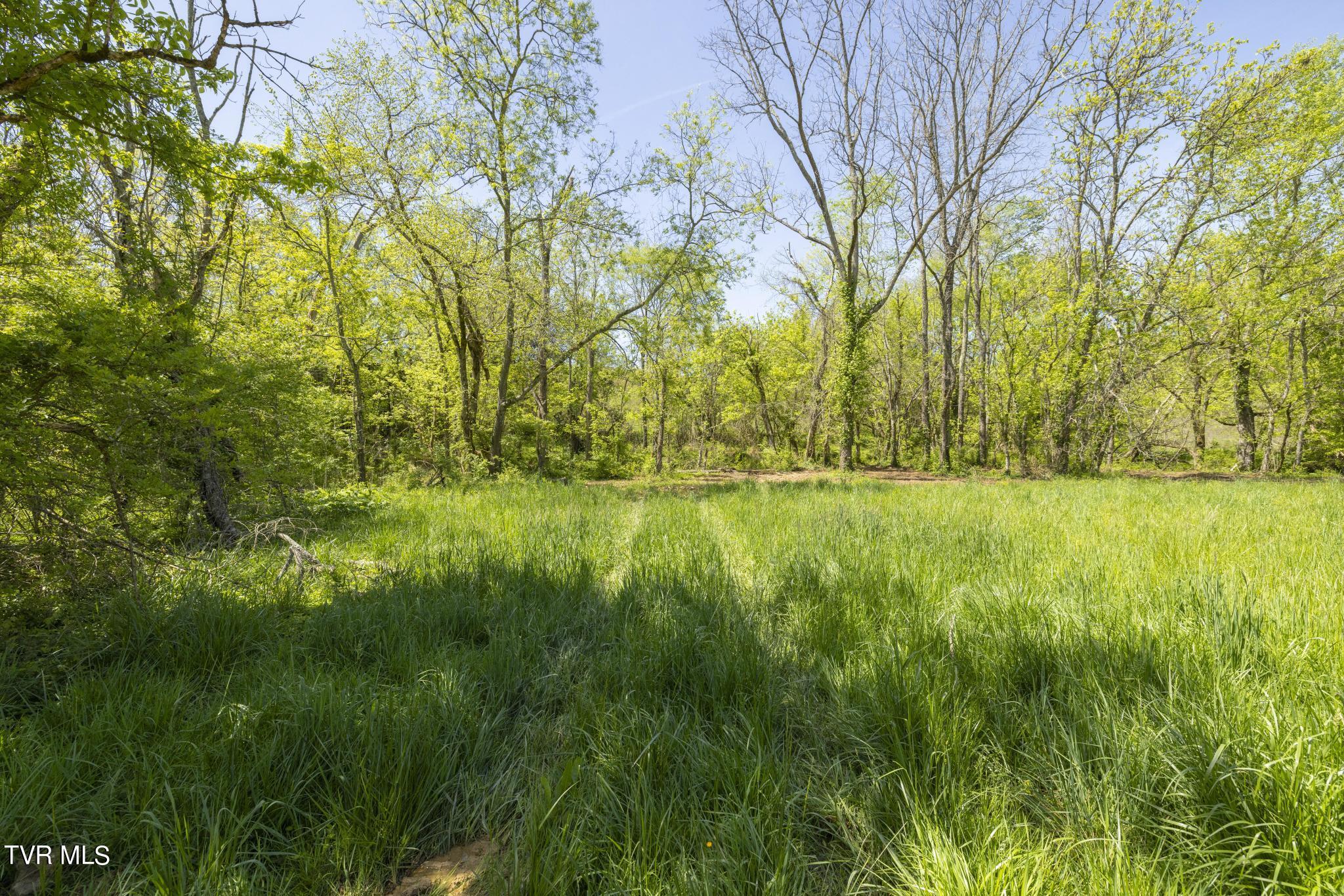 Lot 4 Mckee Street, Greeneville, Tennessee image 13