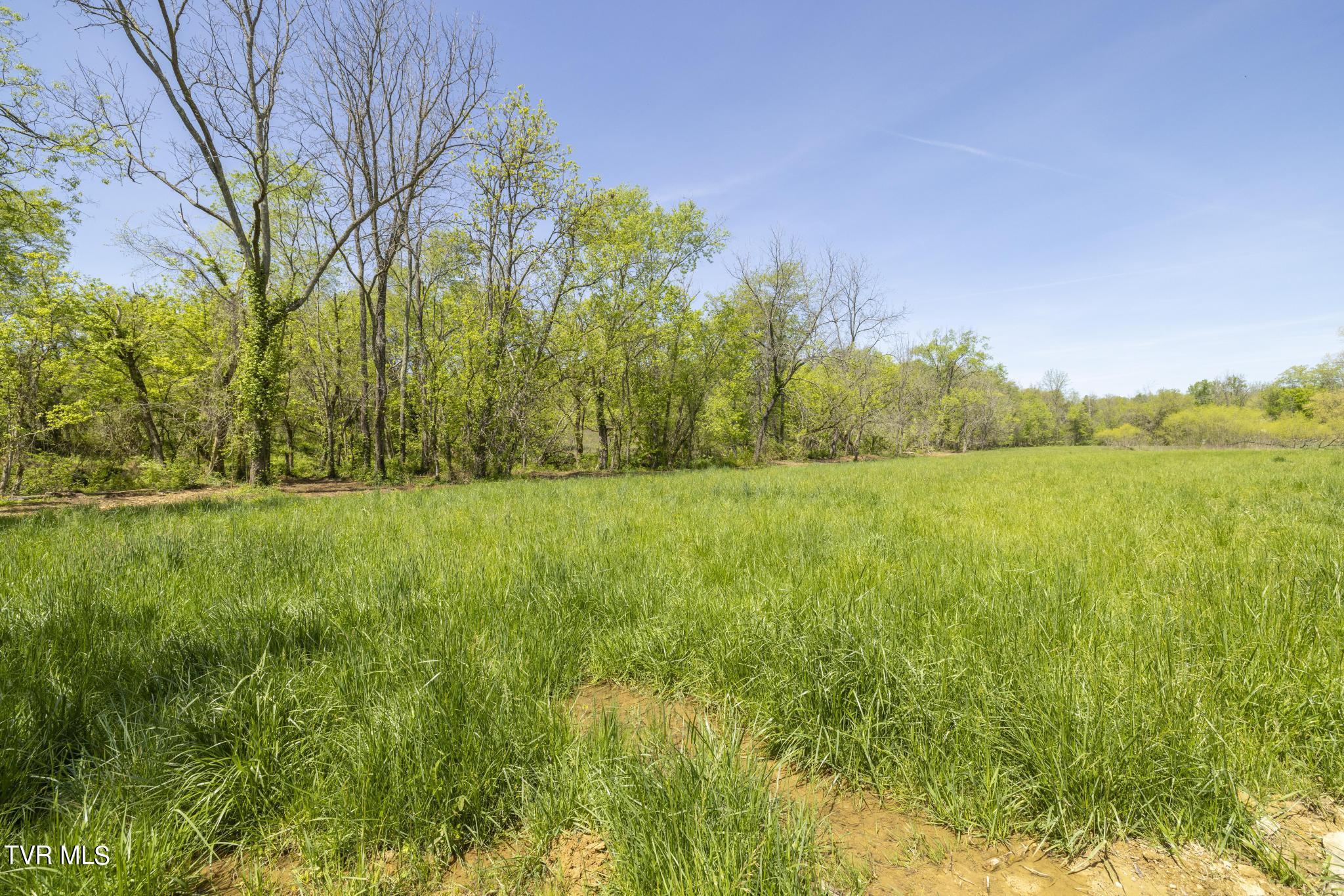 Lot 4 Mckee Street, Greeneville, Tennessee image 14