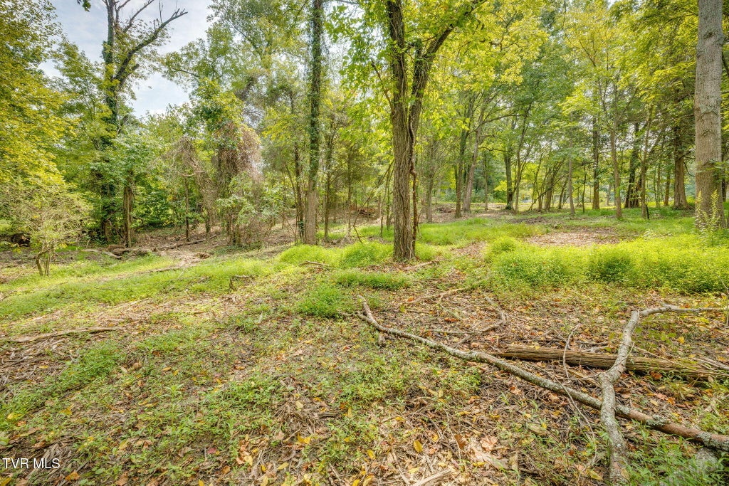 Photo of 3630 Thornton Drive, Kingsport, TN 37664 (MLS # 10000178)