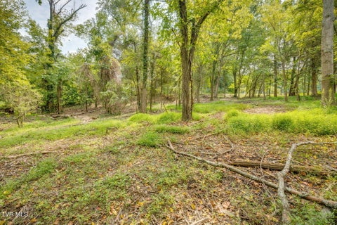 Vacant Land For Sale - 3630 Thornton Drive<br/> Sullivan County, Kingsport, TN 37664
