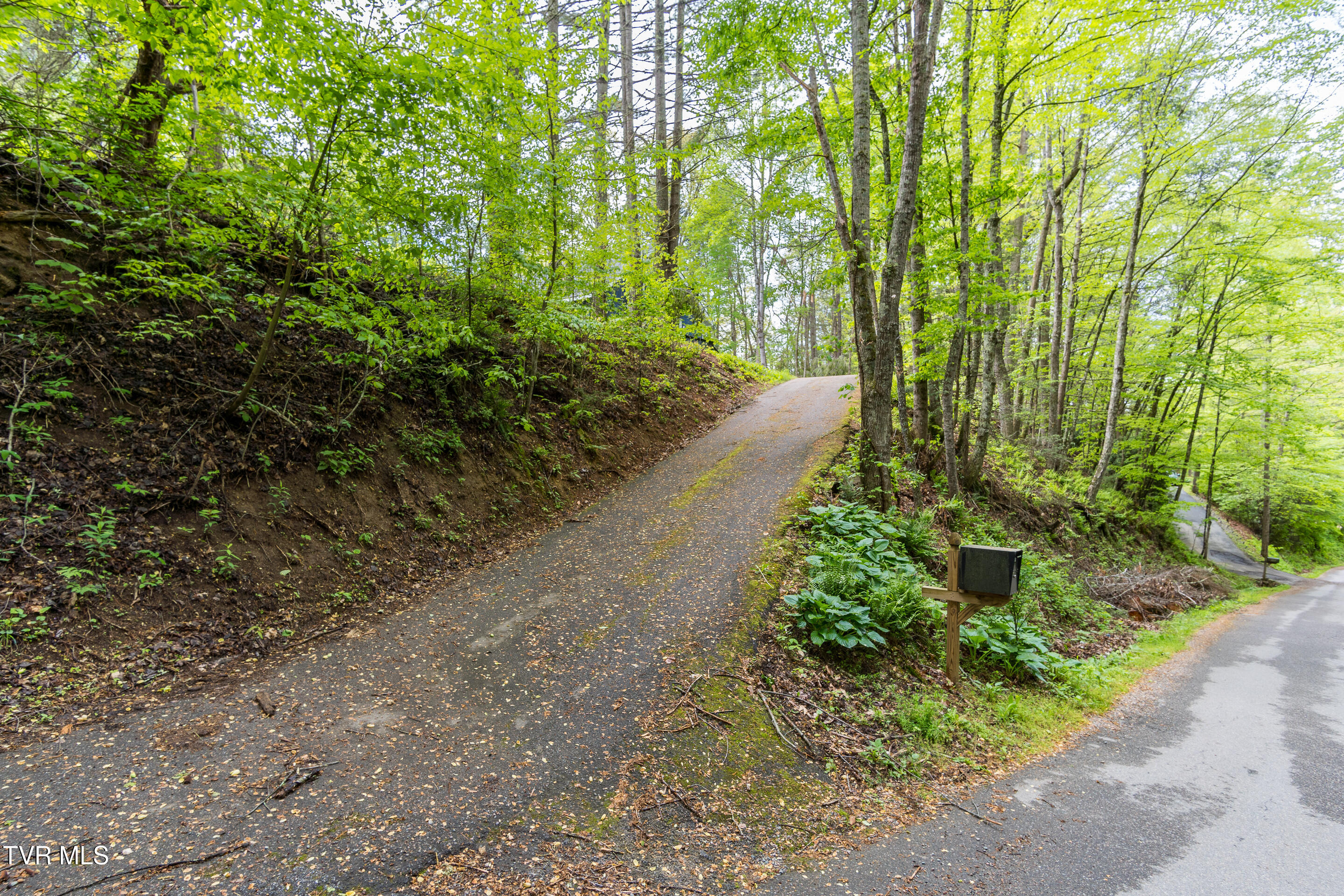 388 Crestwood Drive, Mountain City, Tennessee image 40