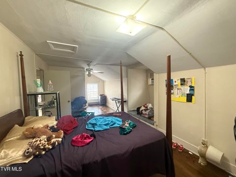 Tiny photo for 607 Watauga Avenue, Johnson City, TN 37601 (MLS # 9986466)
