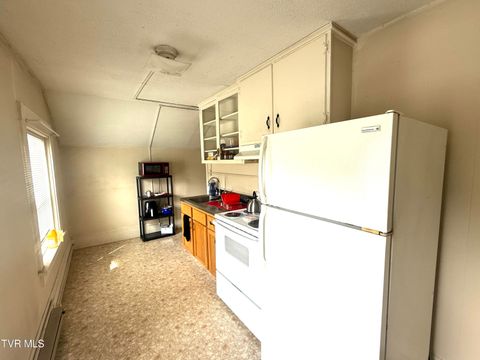 Tiny photo for 607 Watauga Avenue, Johnson City, TN 37601 (MLS # 9986466)