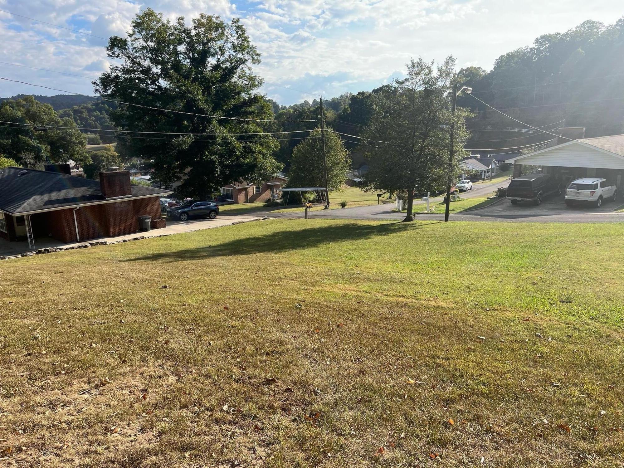 Tbd Pine Street, Weber City, Virginia image 3