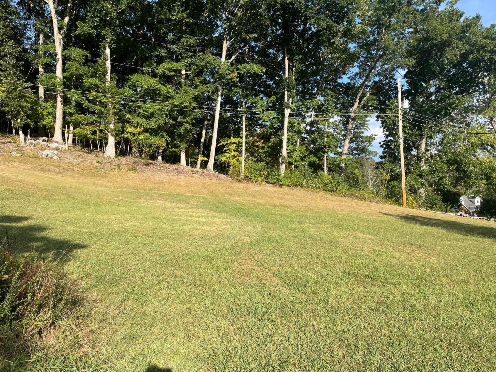 Tbd Pine Street, Weber City, Virginia image 5