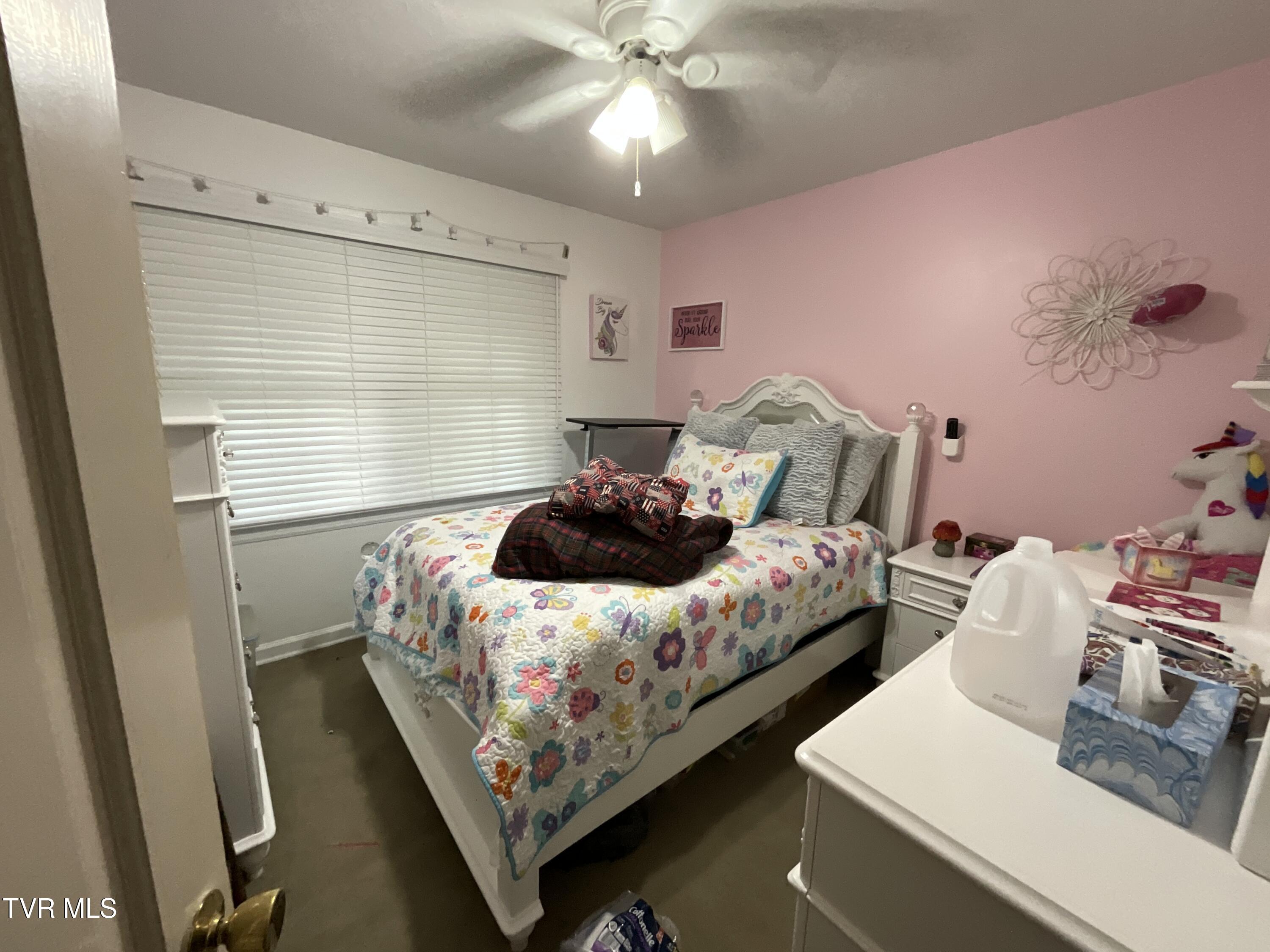 806 Sir Echo Drive, Kingsport, Tennessee image 10