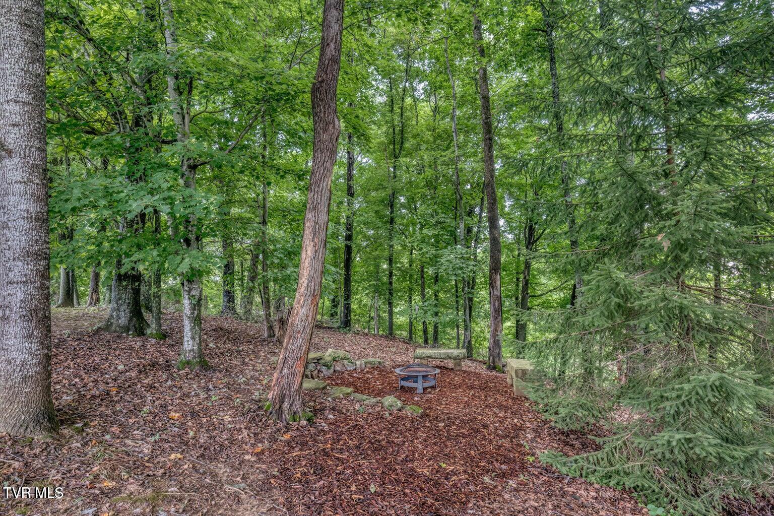 1828 Weaver Branch Road, Piney Flats, Tennessee image 9