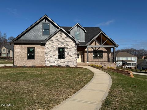 Photo of 3 Morning Glory Terrace, Johnson City, TN 37615 (MLS # 9989072)