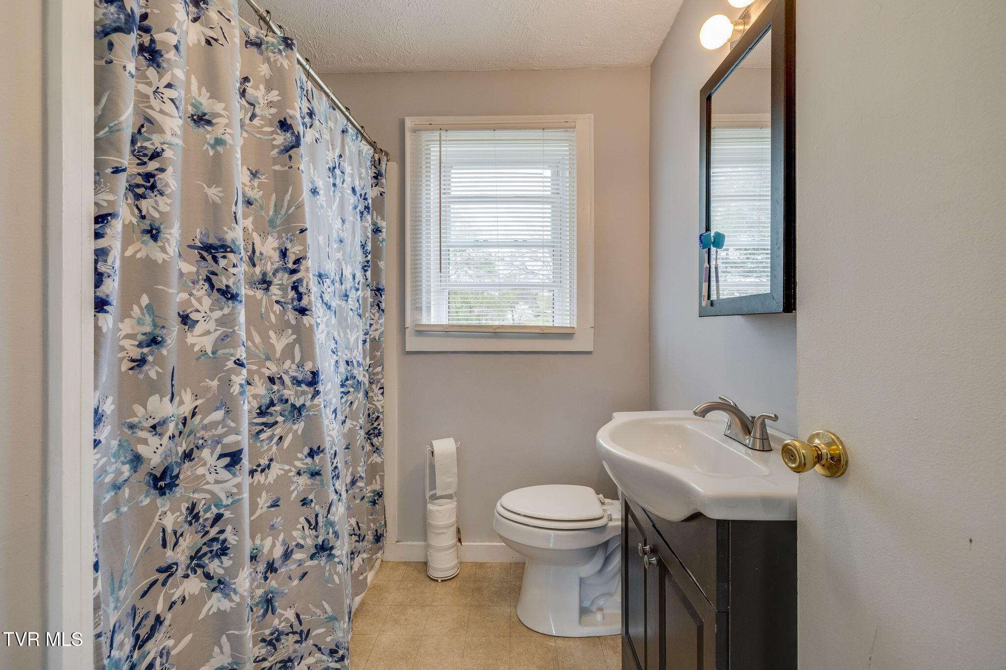 309 Magnolia Drive, Bristol, Virginia image 17