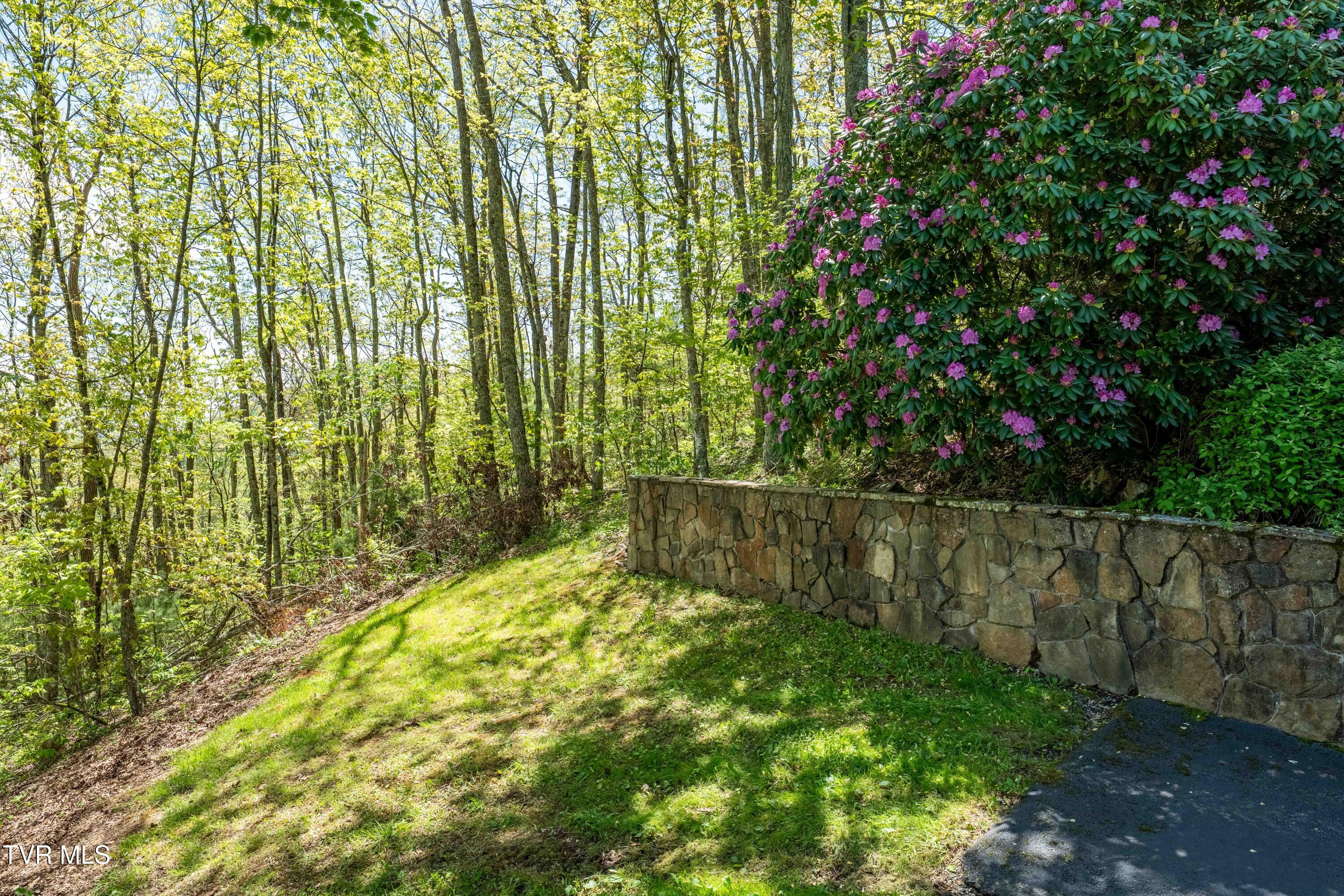1527 Stone Mountain Road, Trade, Tennessee image 28