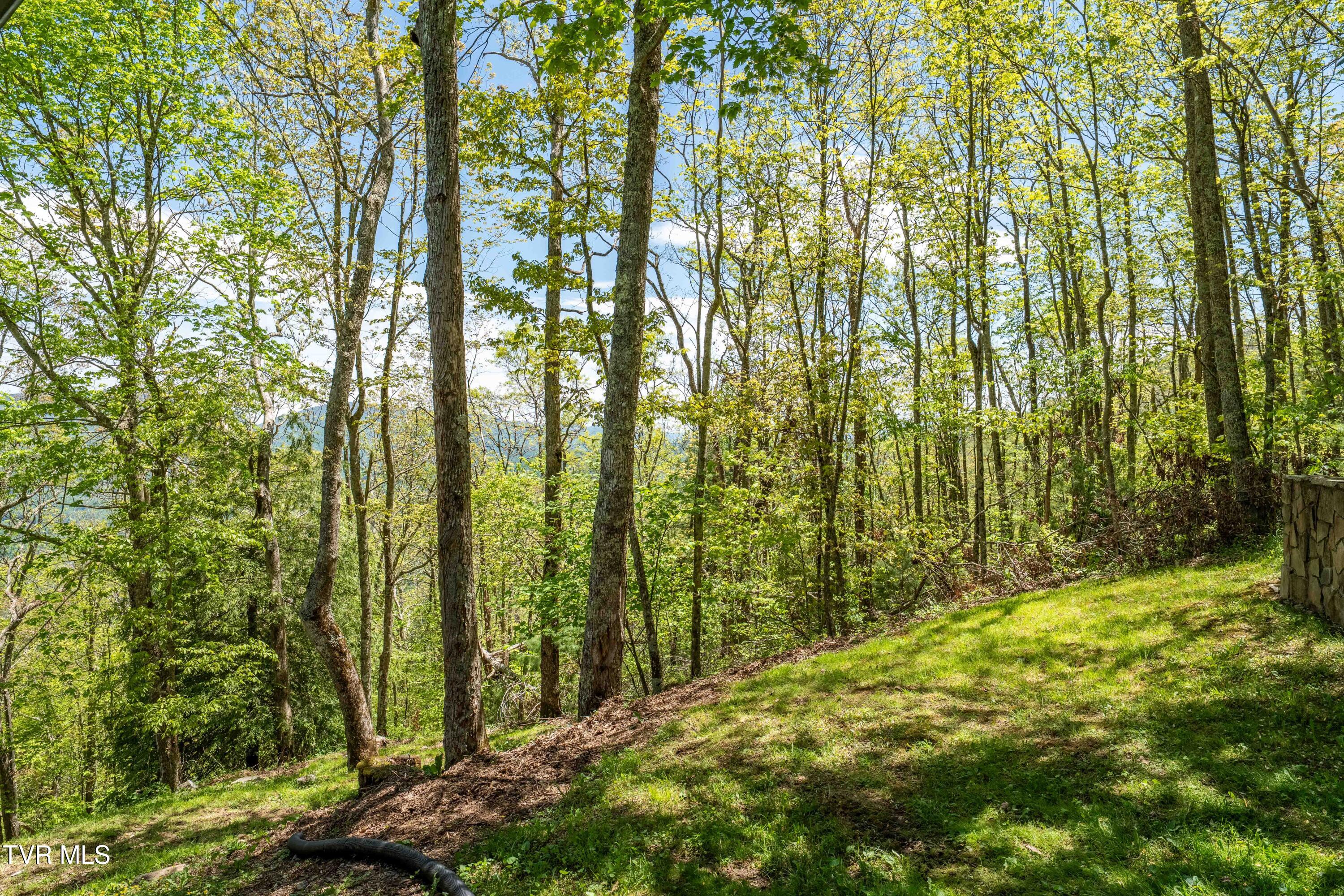 1527 Stone Mountain Road, Trade, Tennessee image 29