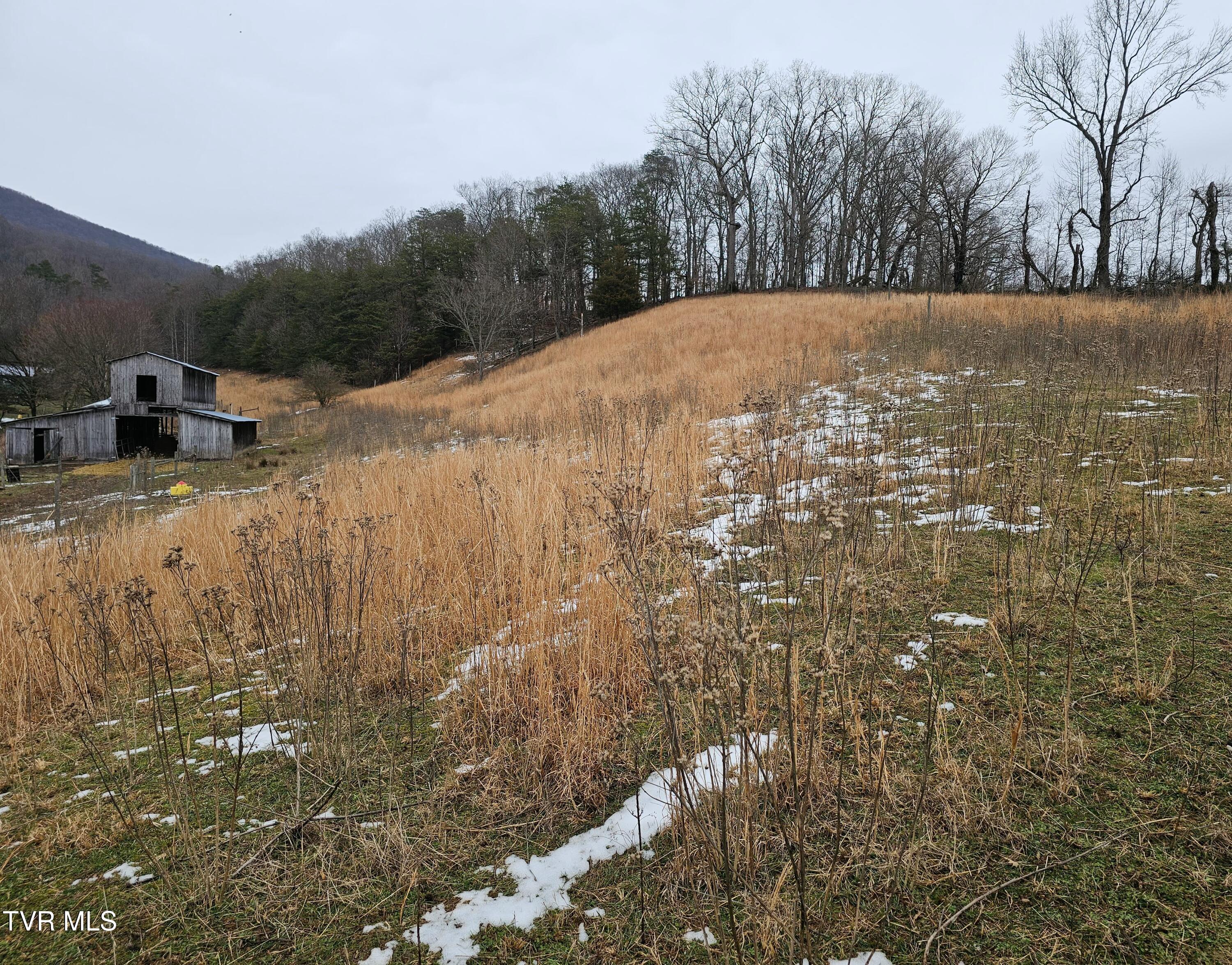 Tbd A P Carter Highway, Hiltons, Virginia image 2