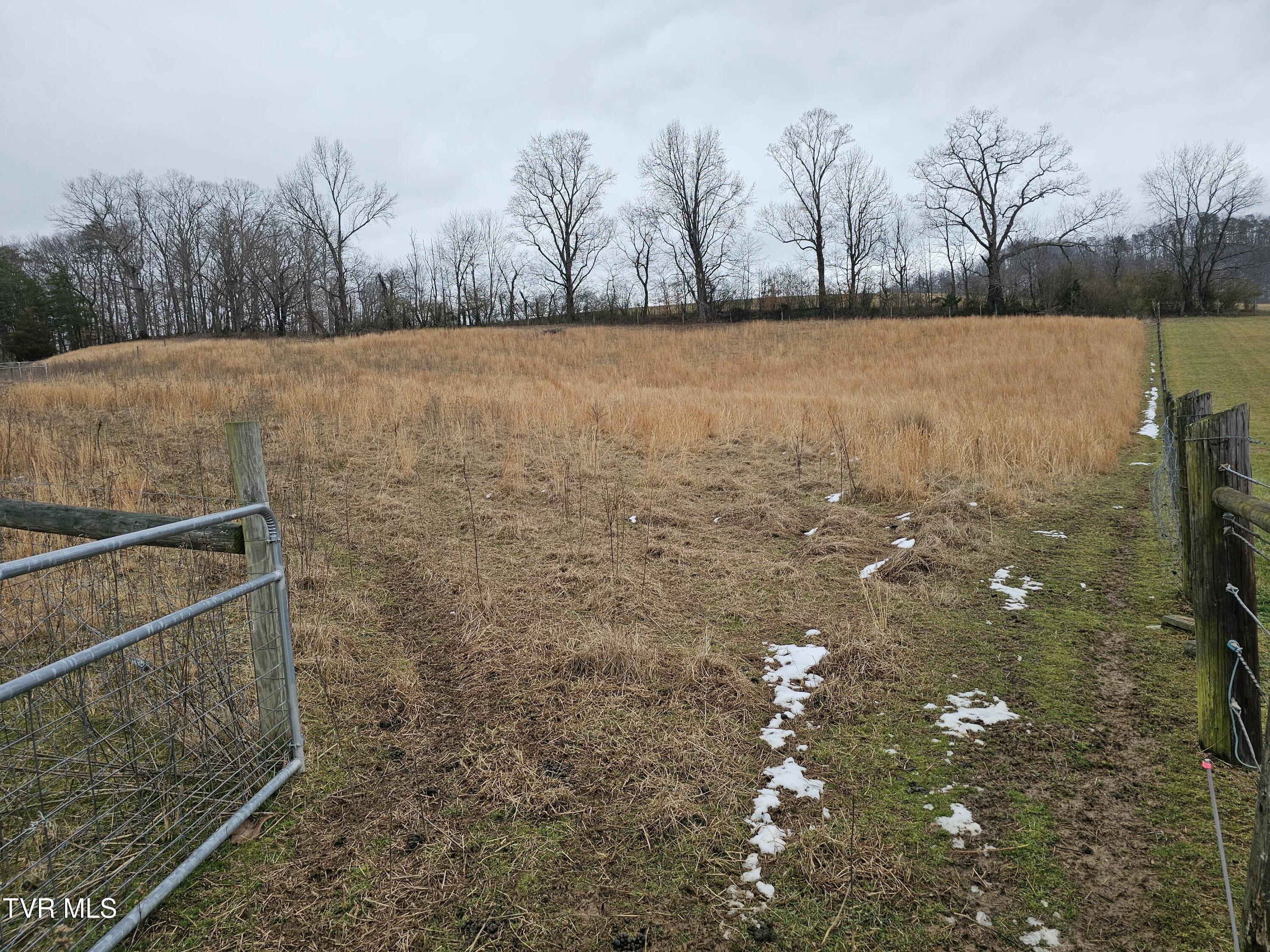 Tbd A P Carter Highway, Hiltons, Virginia image 7