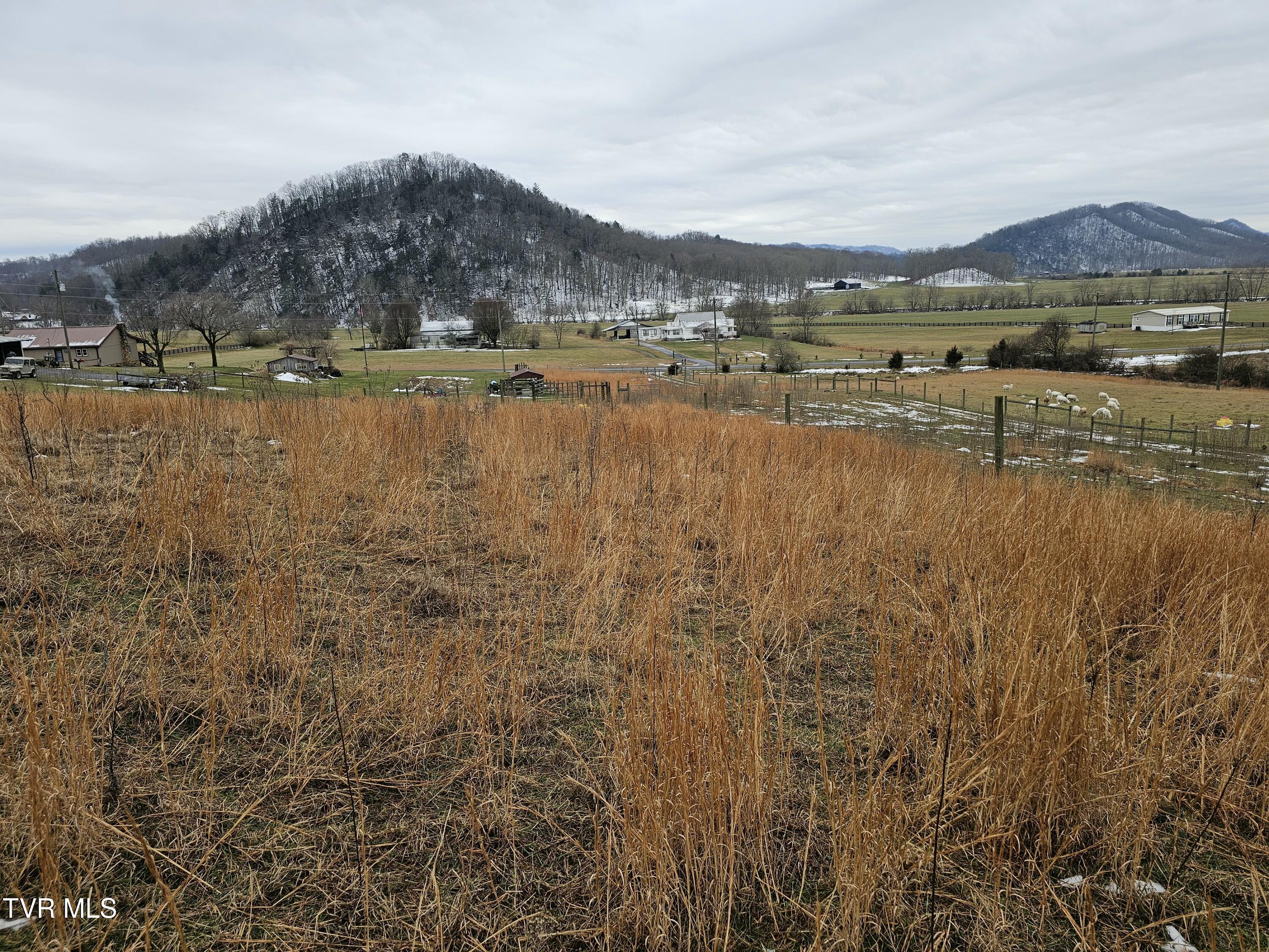 Tbd A P Carter Highway, Hiltons, Virginia image 11