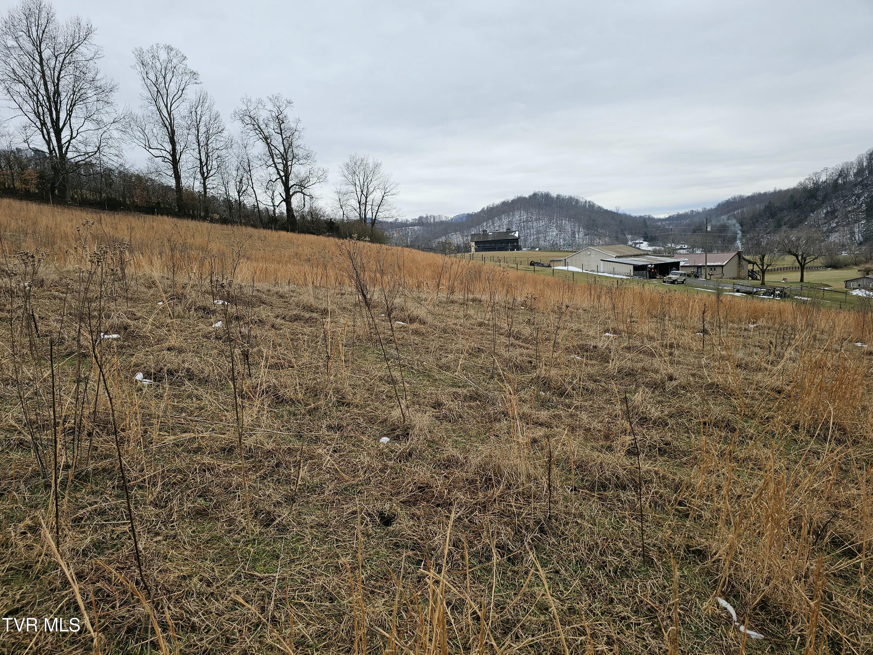 Tbd A P Carter Highway, Hiltons, Virginia image 5