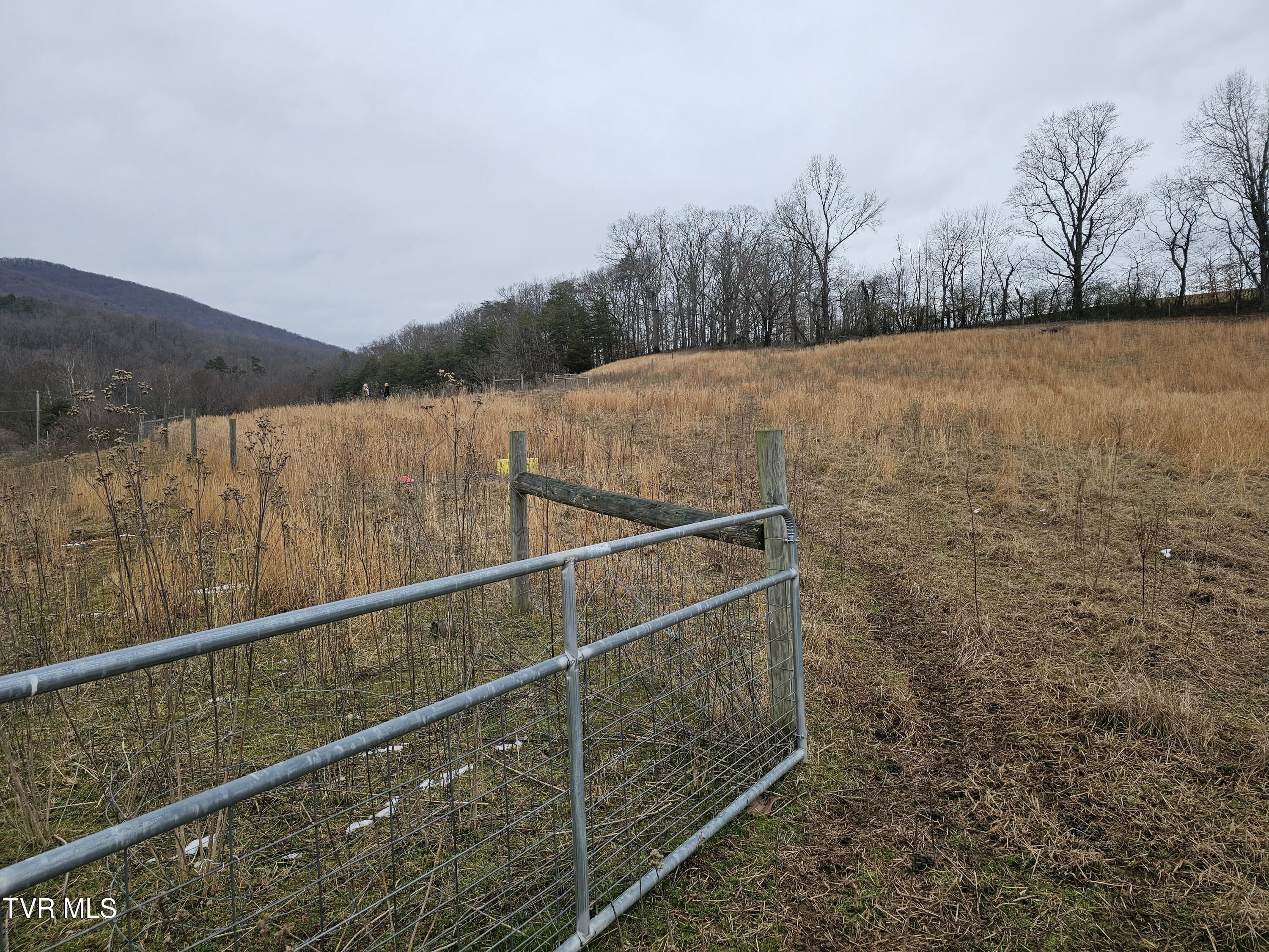 Tbd A P Carter Highway, Hiltons, Virginia image 8