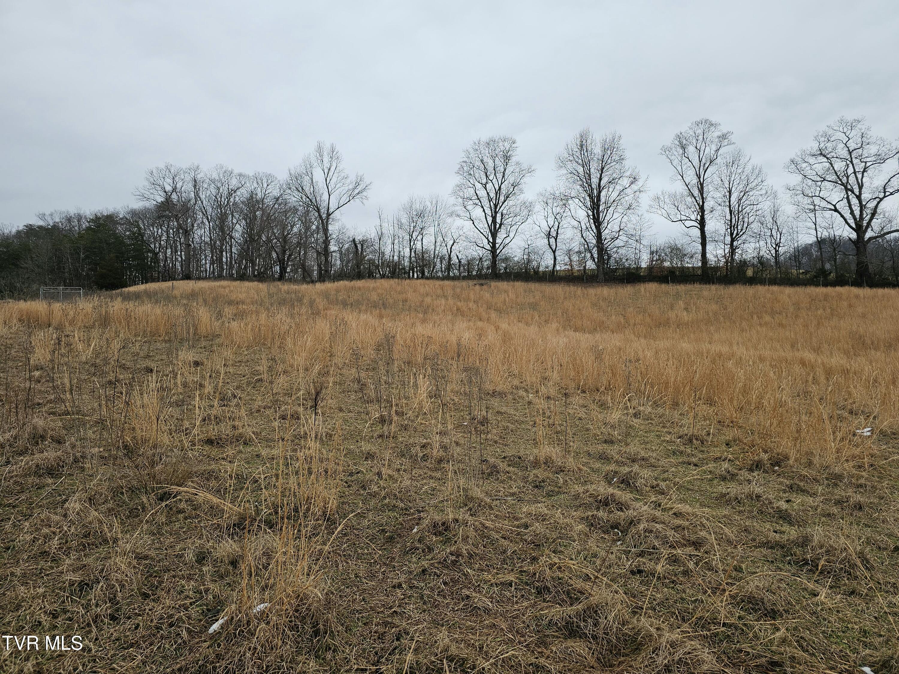 Tbd A P Carter Highway, Hiltons, Virginia image 6