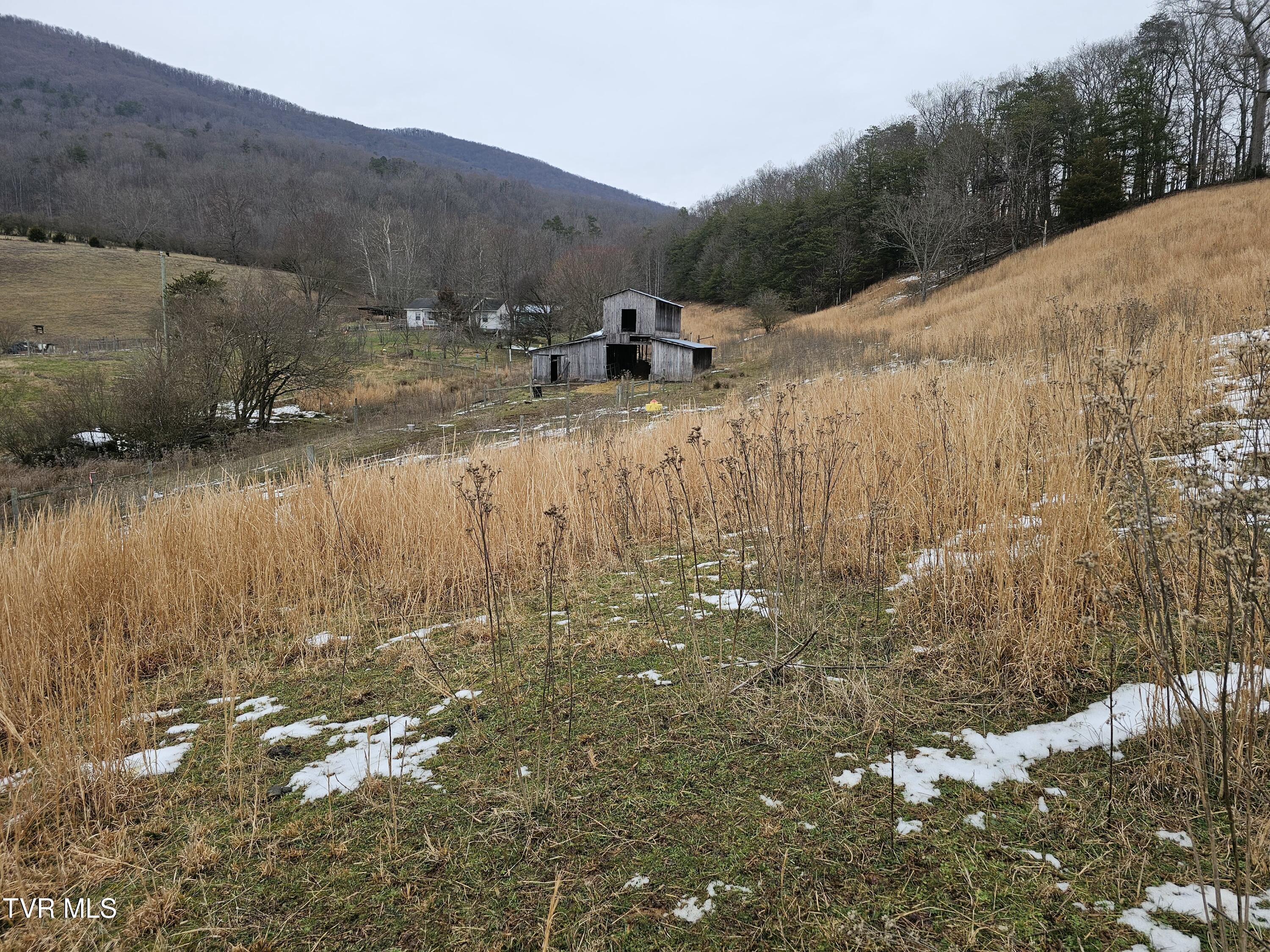 Tbd A P Carter Highway, Hiltons, Virginia image 1