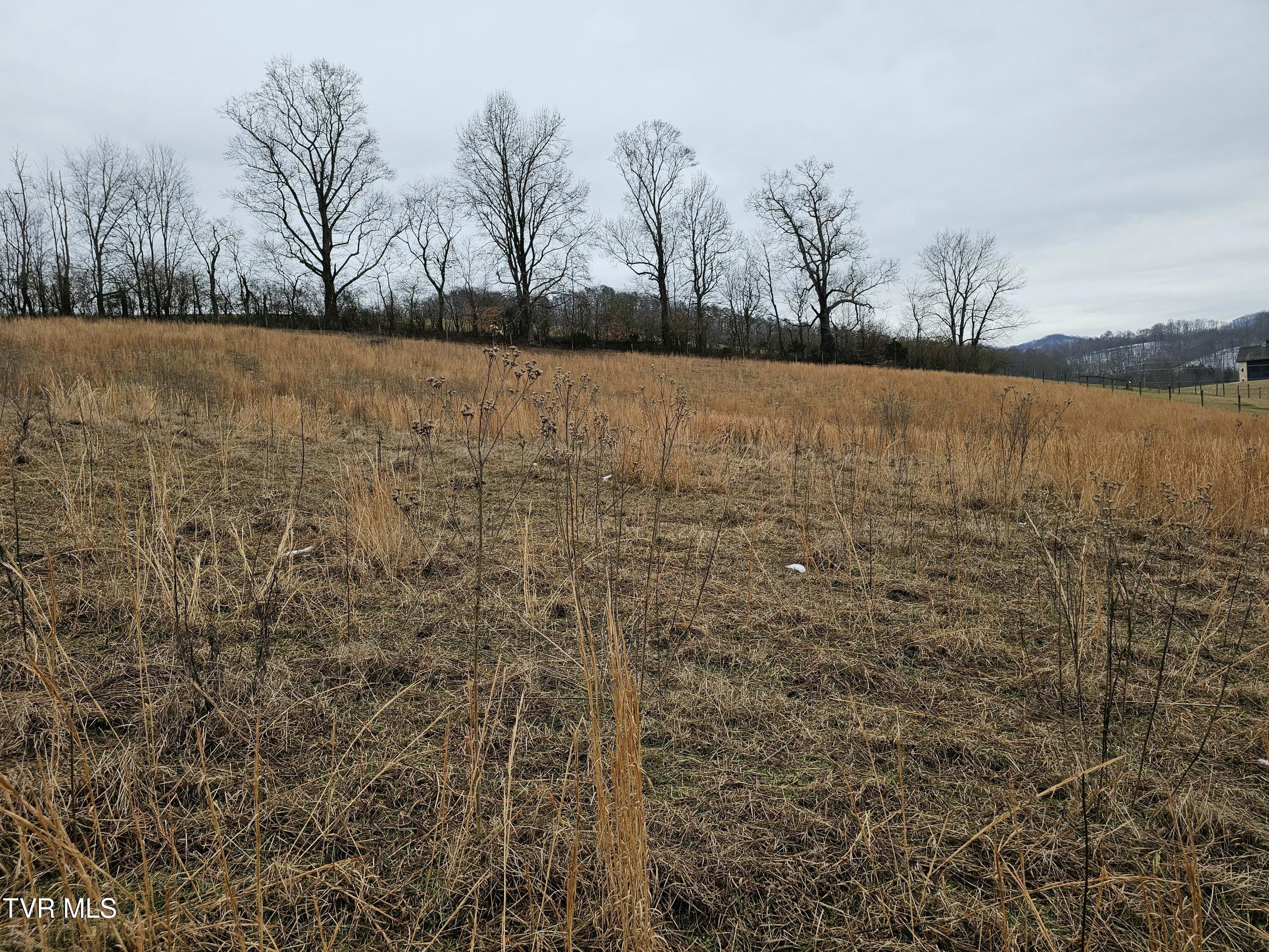 Tbd A P Carter Highway, Hiltons, Virginia image 4
