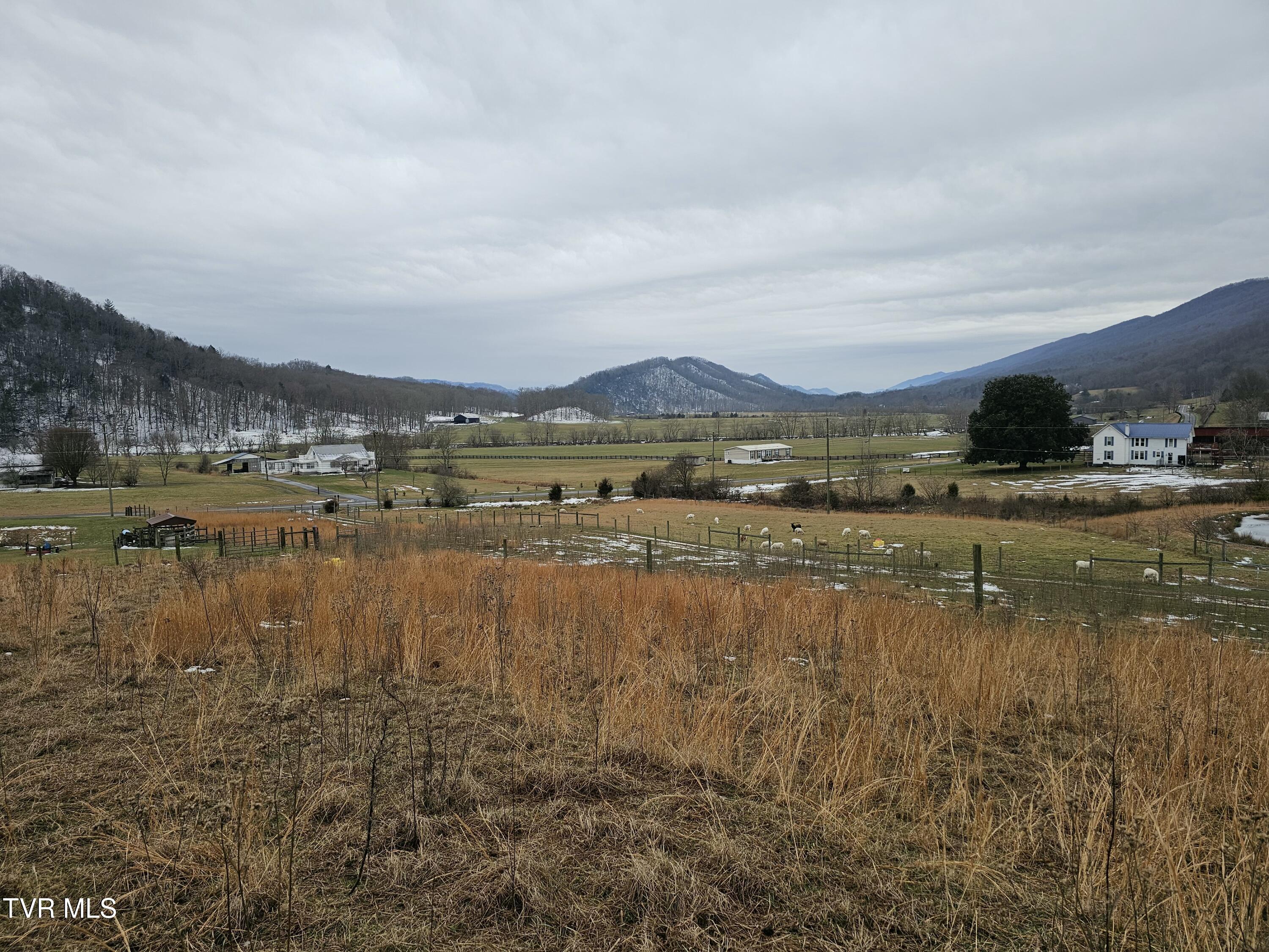 Tbd A P Carter Highway, Hiltons, Virginia image 10