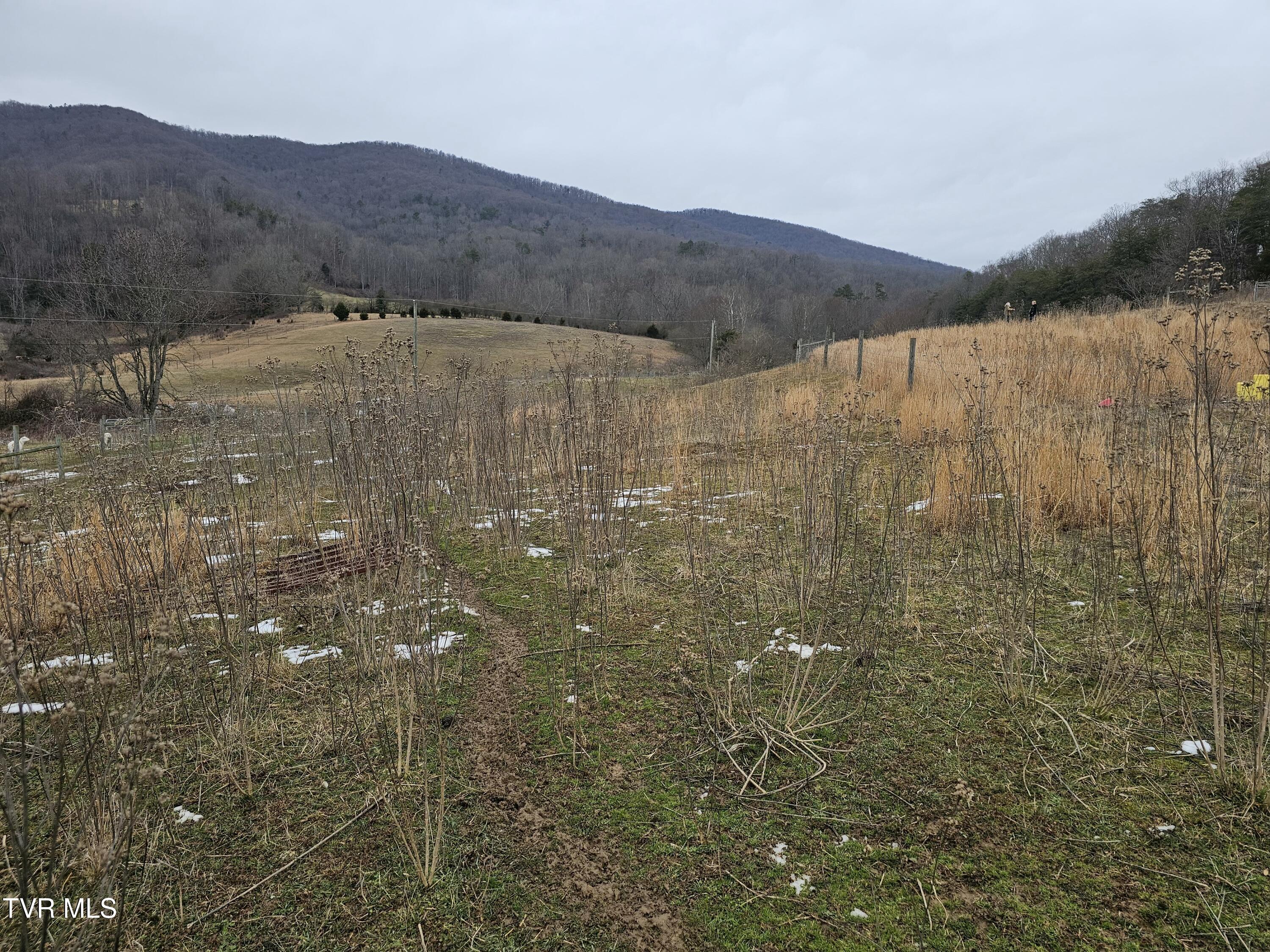 Tbd A P Carter Highway, Hiltons, Virginia image 3