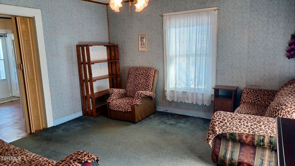 Photo of 209 Madison Street, Bristol, VA 24201 (MLS # 9990436)