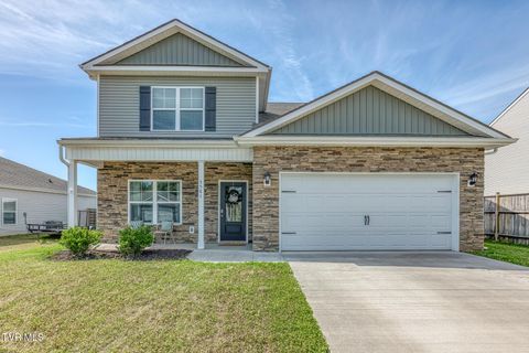 Photo of 5581 Wildlife Circle, Piney Flats, TN 37686 (MLS # 9995707)