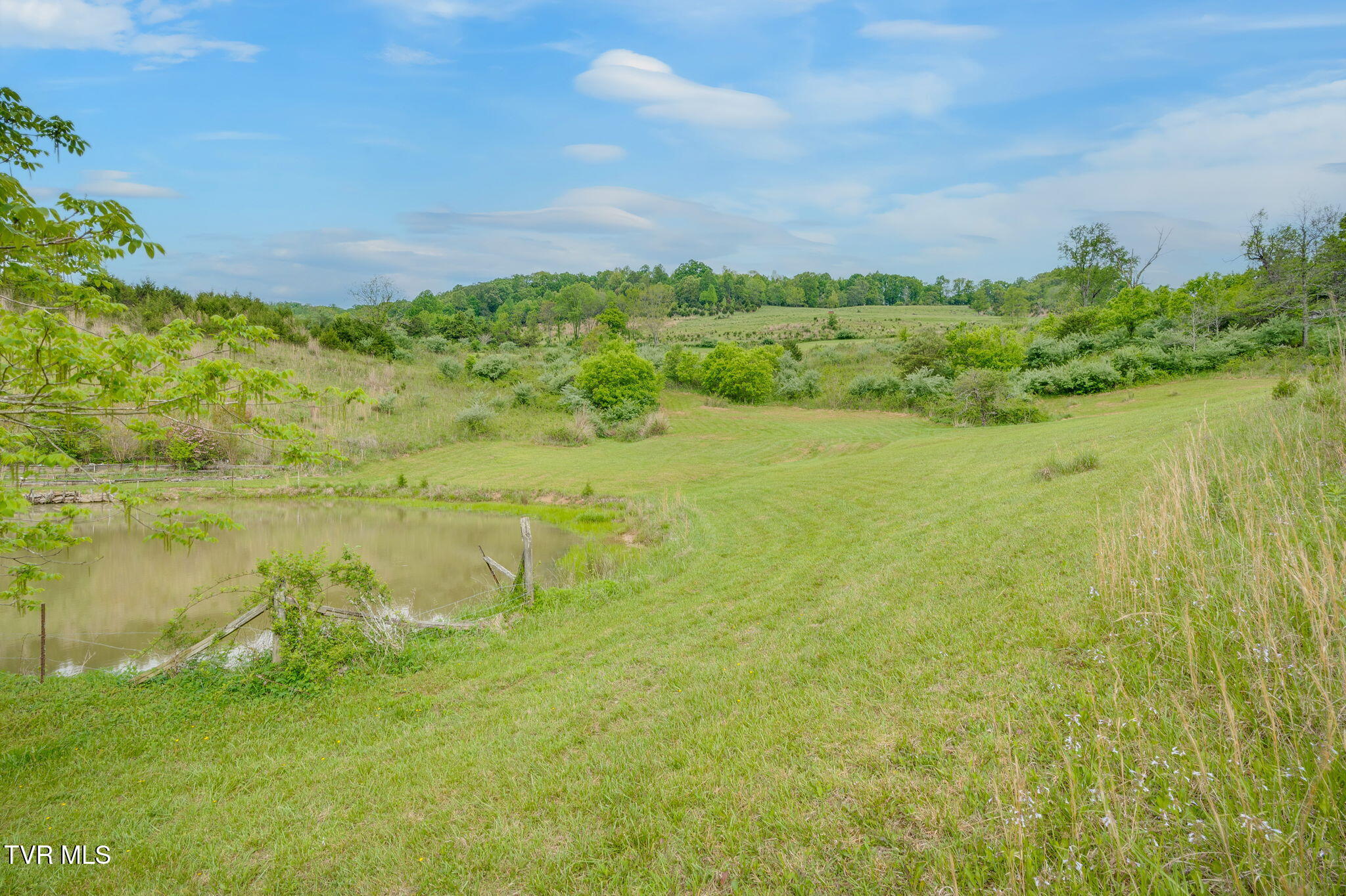 7328 Robinette Valley Road, Duffield, Virginia image 25