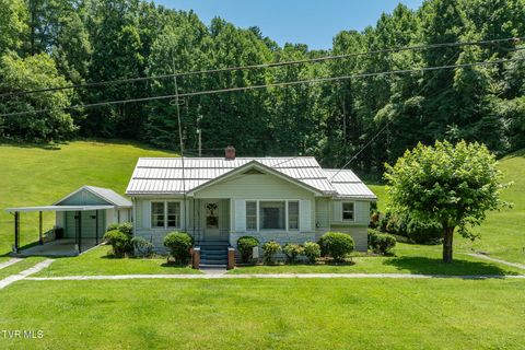 Photo of 1570 Highway 321, Hampton, TN 37658 (MLS # 9997744)