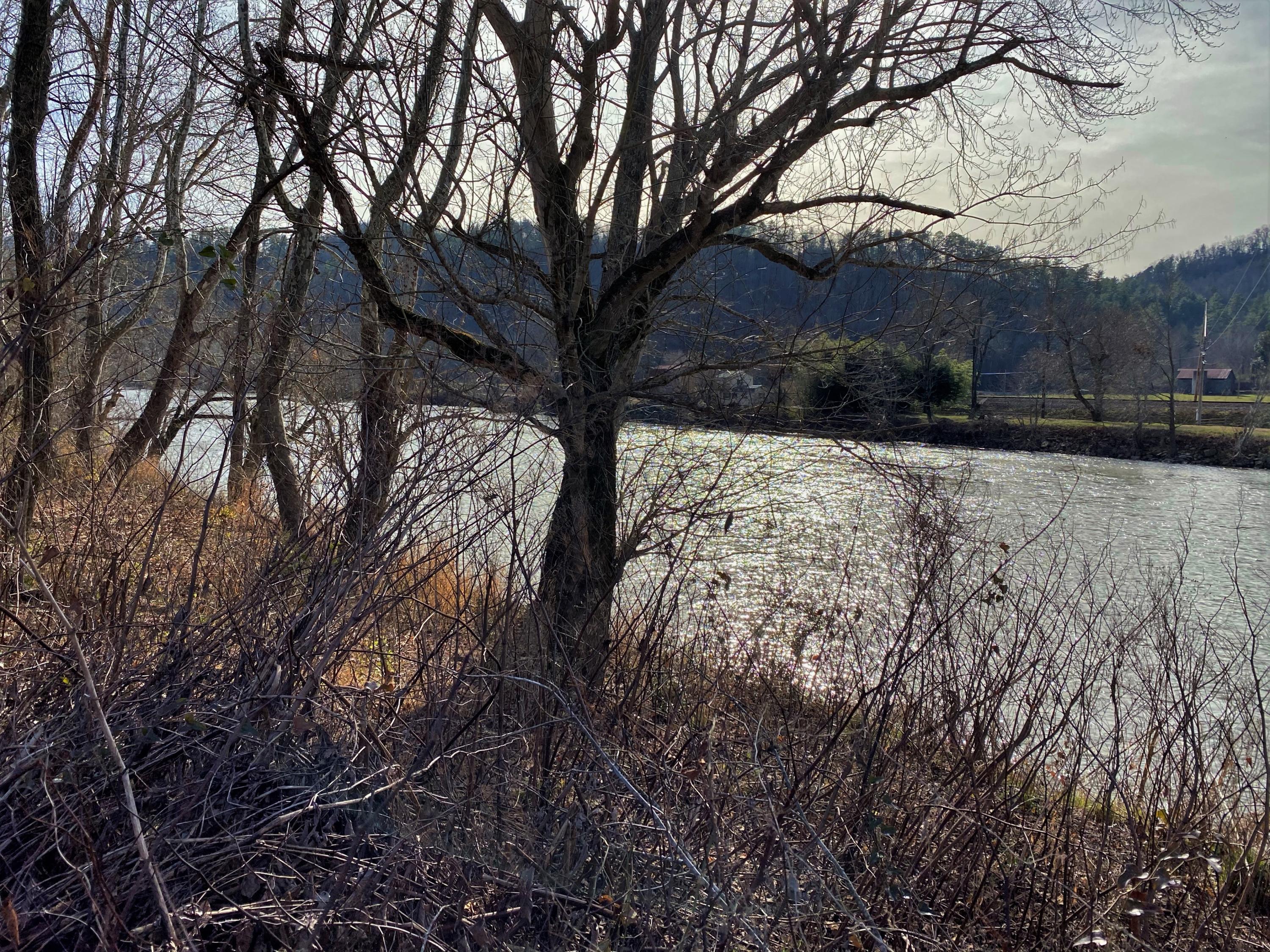 - River Rapids Way, Del Rio, Tennessee image 11