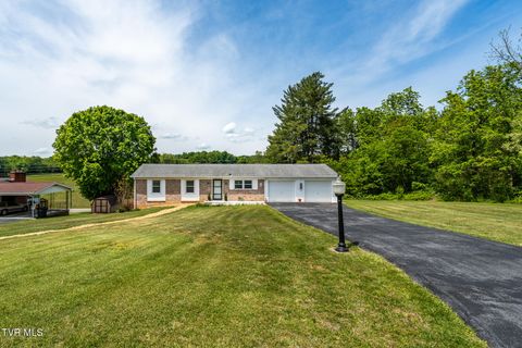 Photo of 253 Fairford Lane, Blountville, TN 37617 (MLS # 9994969)