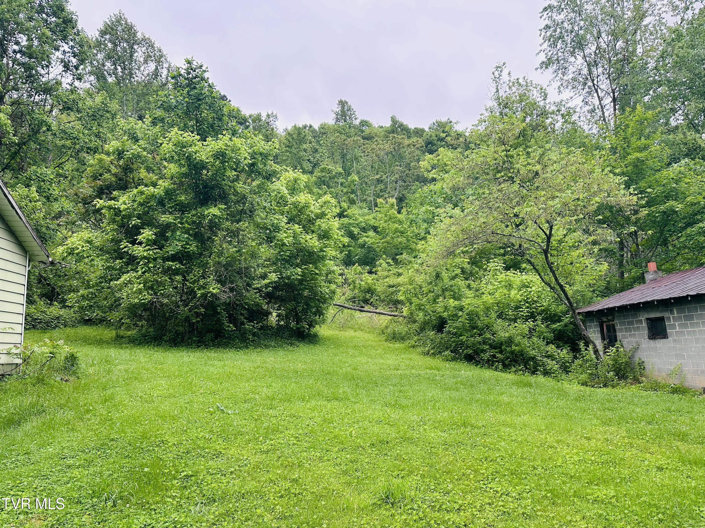 286 Jenkins Hollow Rd Road, Elizabethton, Tennessee image 13